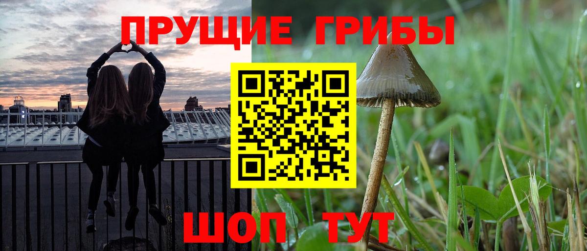 Рубцовск  Галлюциногенные грибы мицелий  Вход с VPN 